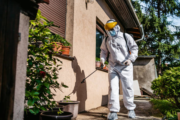 Wildlife Control Services in Red Lick, TX