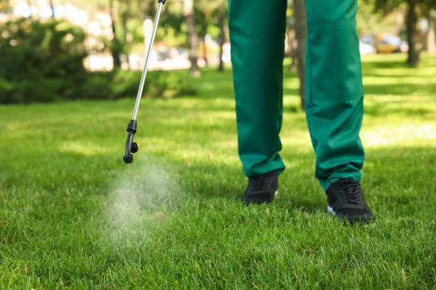 Best Ant Control Services  in Red Lick, TX