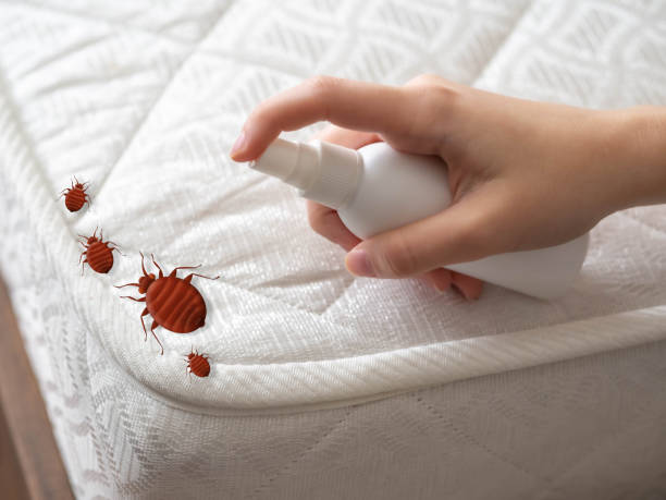 Best Best Pest Control Companies  in Red Lick, TX