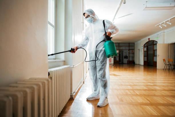Best Pest Control Near Me in Red Lick, TX