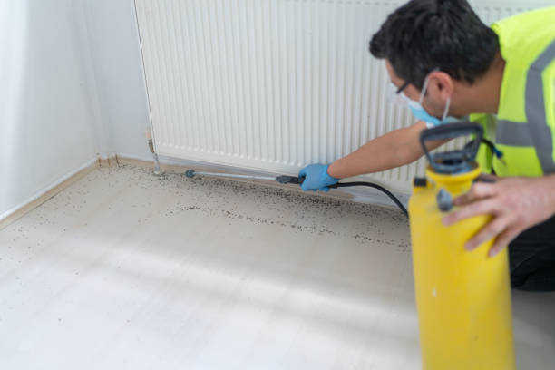 Trusted Red Lick, TX Pest Control Experts